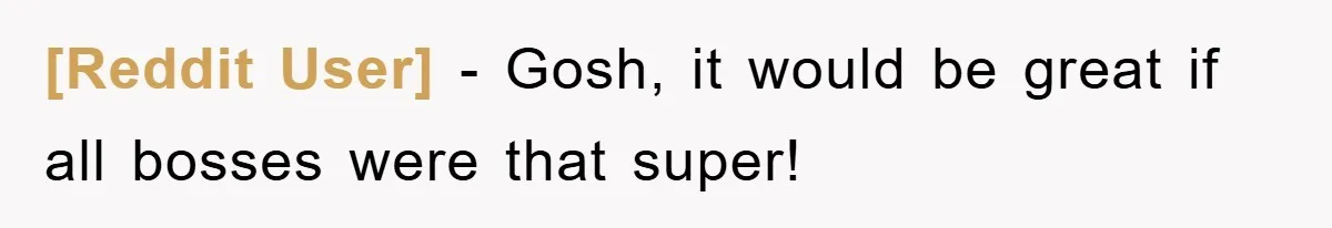 [Reddit User] − Gosh, it would be great if all bosses were that super!