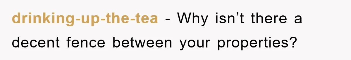 drinking-up-the-tea - Why isn’t there a decent fence between your properties?
