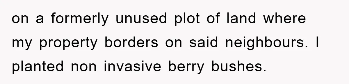 on a formerly unused plot of land where my property borders on said neighbours. I planted non invasive berry bushes.