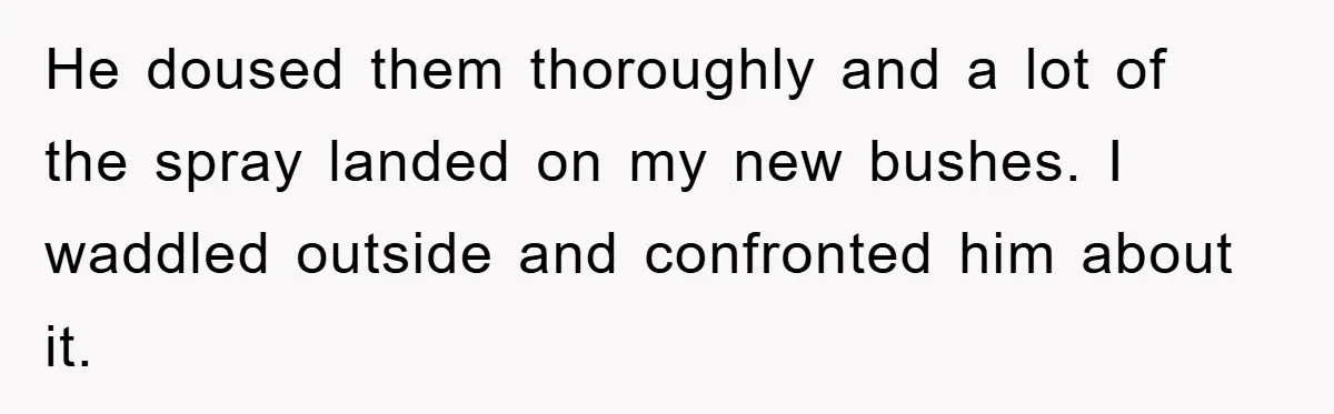 He doused them thoroughly and a lot of the spray landed on my new bushes. I waddled outside and confronted him about it.