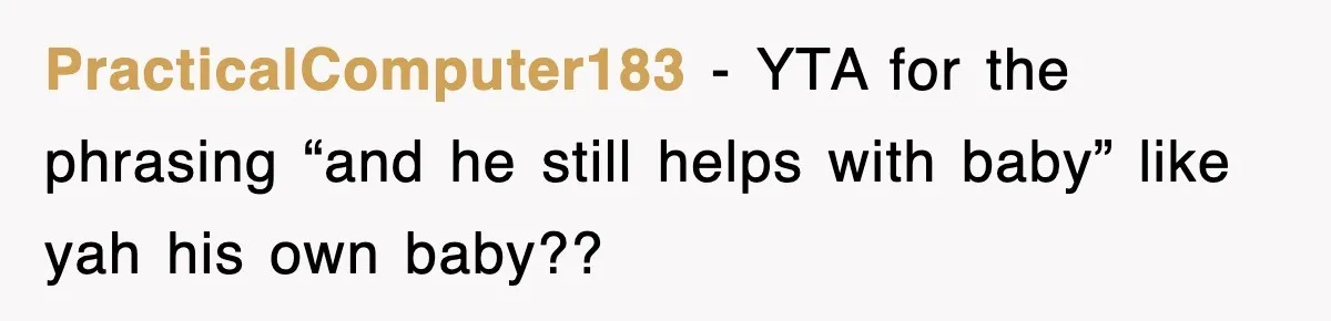 PracticalComputer183 − YTA for the phrasing “and he still helps with baby” like yah his own baby??