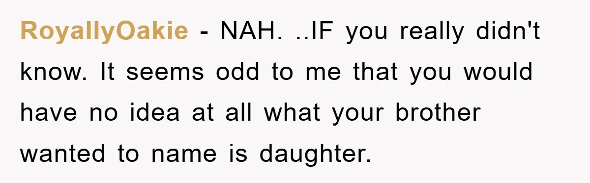 Brother Accused of Deliberately Stealing Deceased Niece's Name RoyallyOakie - NAH. ..IF you really didn't know. It seems odd to me that you would have no idea at all what your brother wanted to name is daughter.