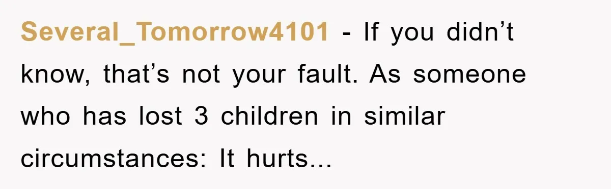 Brother Accused of Deliberately Stealing Deceased Niece's Name Several_Tomorrow4101 - If you didn’t know, that’s not your fault. As someone who has lost 3 children in similar circumstances: It hurts...