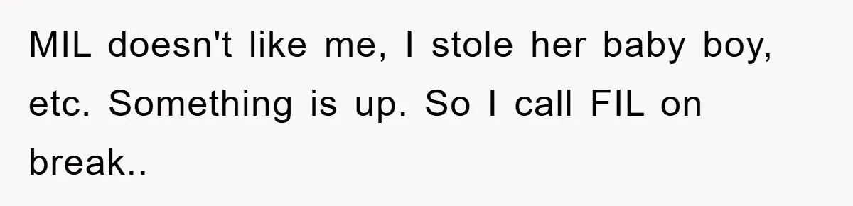 MIL doesn't like me, I stole her baby boy, etc. Something is up. So I call FIL on break..