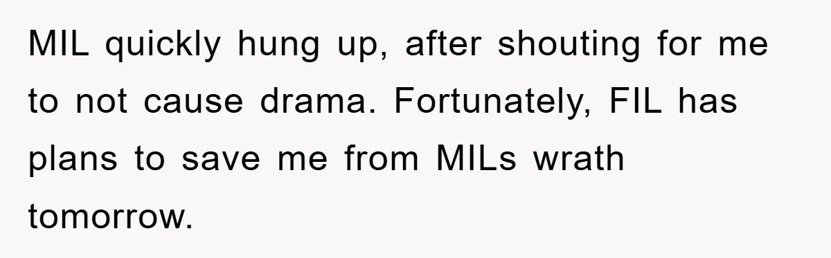 MIL quickly hung up, after shouting for me to not cause drama. Fortunately, FIL has plans to save me from MILs wrath tomorrow.