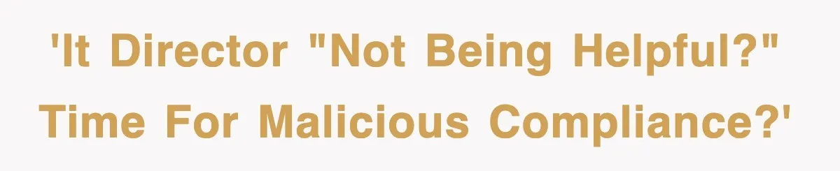 'IT Director "not being helpful?" Time for malicious compliance?'