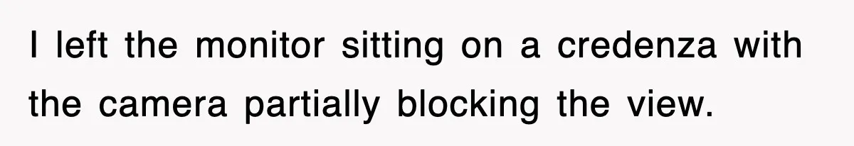 I left the monitor sitting on a credenza with the camera partially blocking the view.