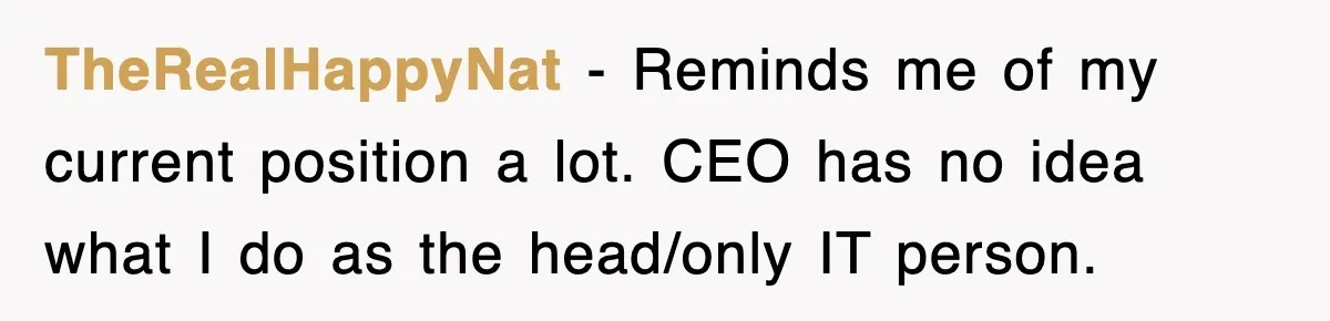 TheRealHappyNat − Reminds me of my current position a lot. CEO has no idea what I do as the head/only IT person.