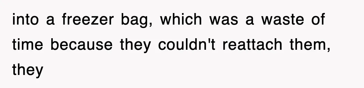 into a freezer bag, which was a waste of time because they couldn't reattach them, they