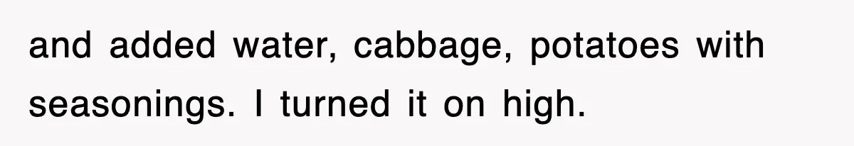 and added water, cabbage, potatoes with seasonings. I turned it on high.