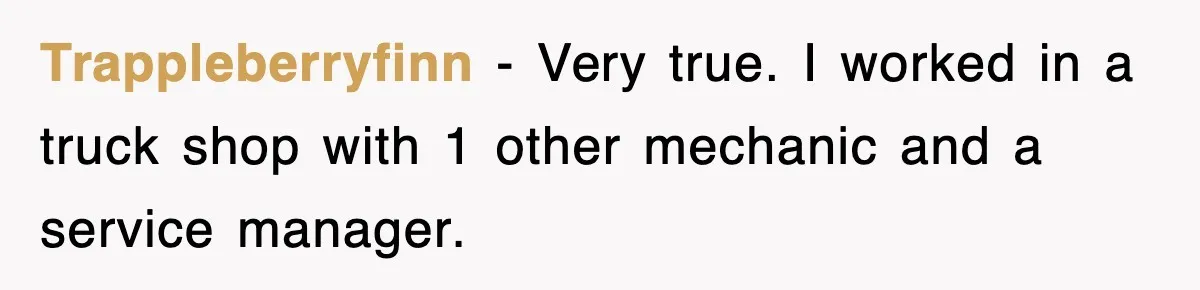 Trappleberryfinn − Very true. I worked in a truck shop with 1 other mechanic and a service manager.