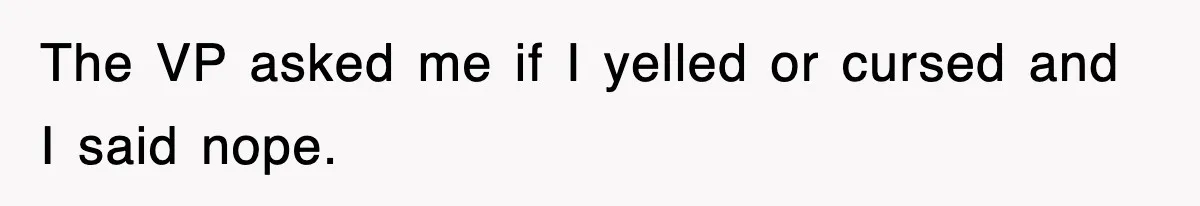 The VP asked me if I yelled or cursed and I said nope.