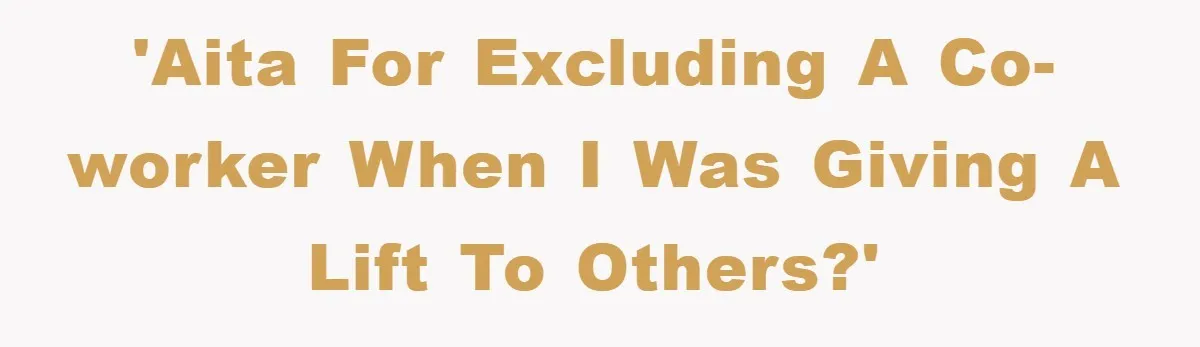 'AITA for excluding a co-worker when I was giving a lift to others?'
