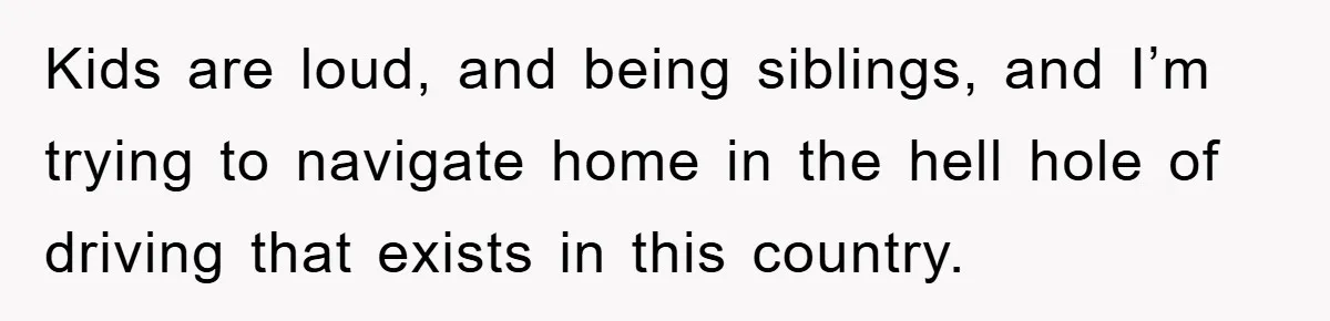 Kids are loud, and being siblings, and I’m trying to navigate home in the hell hole of driving that exists in this country.