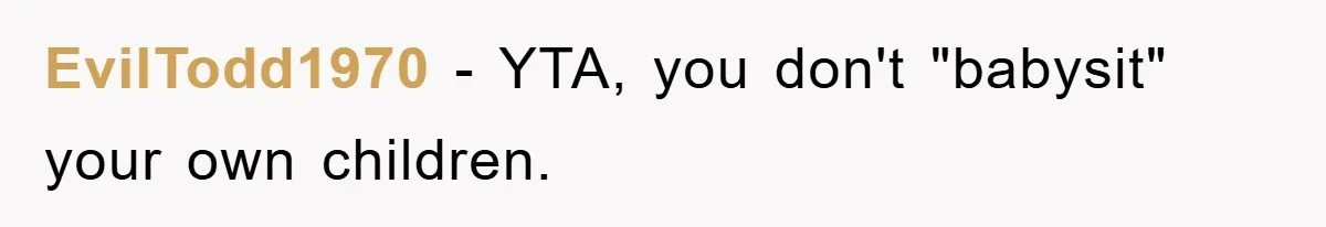 EvilTodd1970 − YTA, you don't "babysit" your own children.