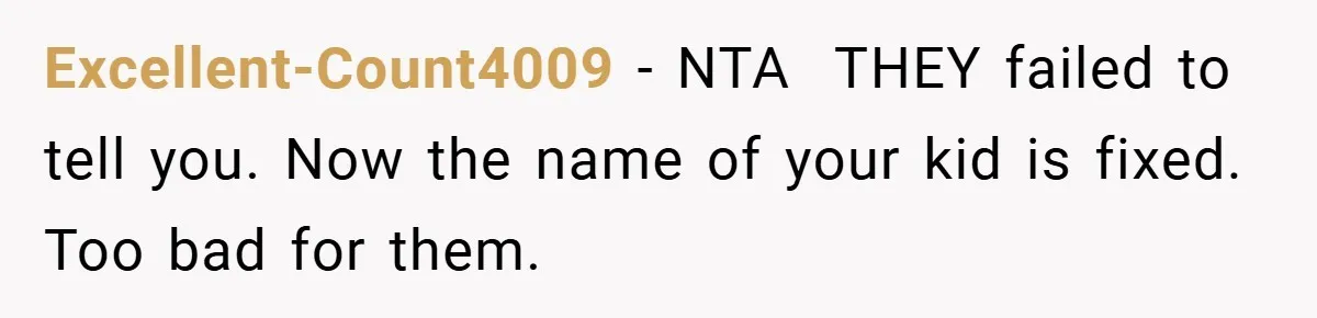 Brother Accused of Deliberately Stealing Deceased Niece's Name Excellent-Count4009 - NTA THEY failed to tell you. Now the name of your kid is fixed. Too bad for them.