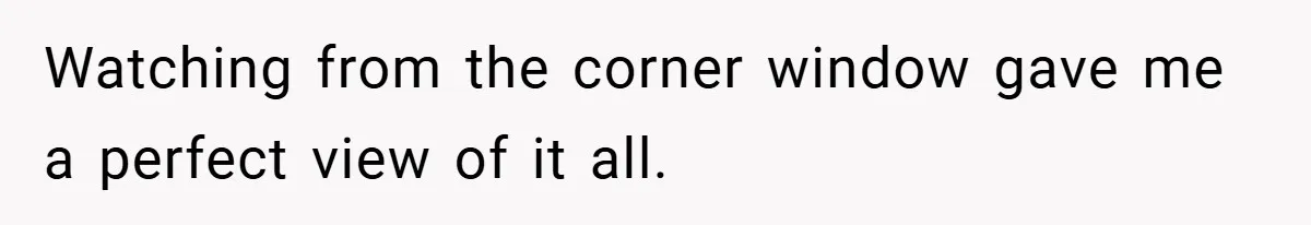Watching from the corner window gave me a perfect view of it all.