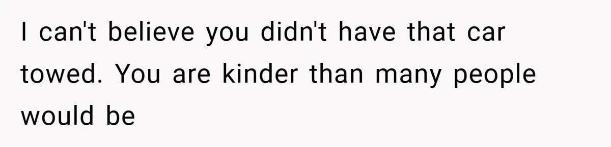 I can't believe you didn't have that car towed. You are kinder than many people would be