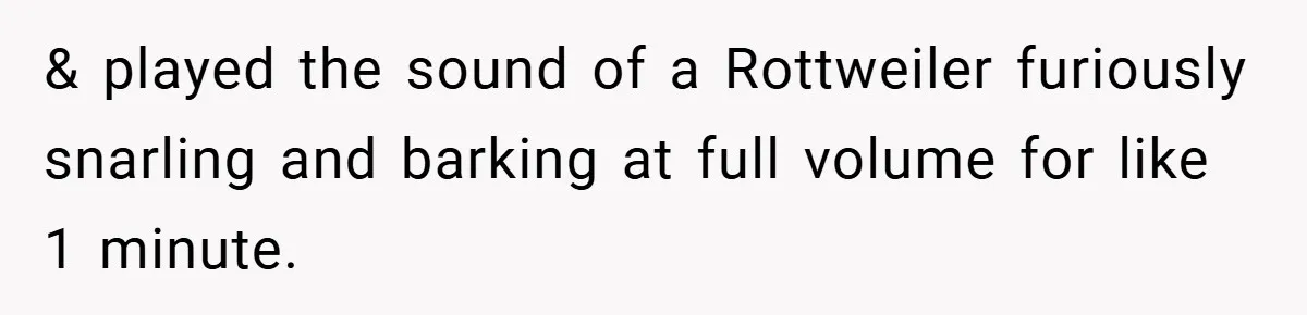 & played the sound of a Rottweiler furiously snarling and barking at full volume for like 1 minute.