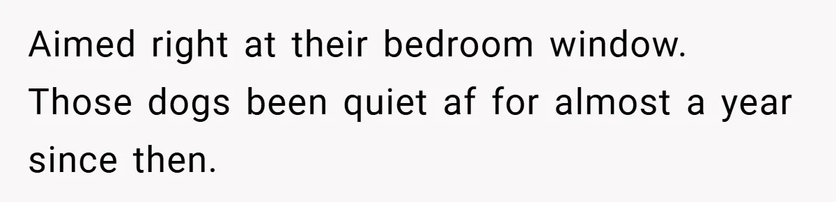 Aimed right at their bedroom window. Those dogs been quiet af for almost a year since then.