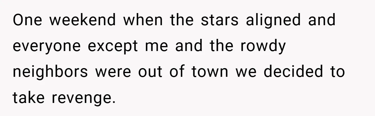 One weekend when the stars aligned and everyone except me and the rowdy neighbors were out of town we decided to take revenge.