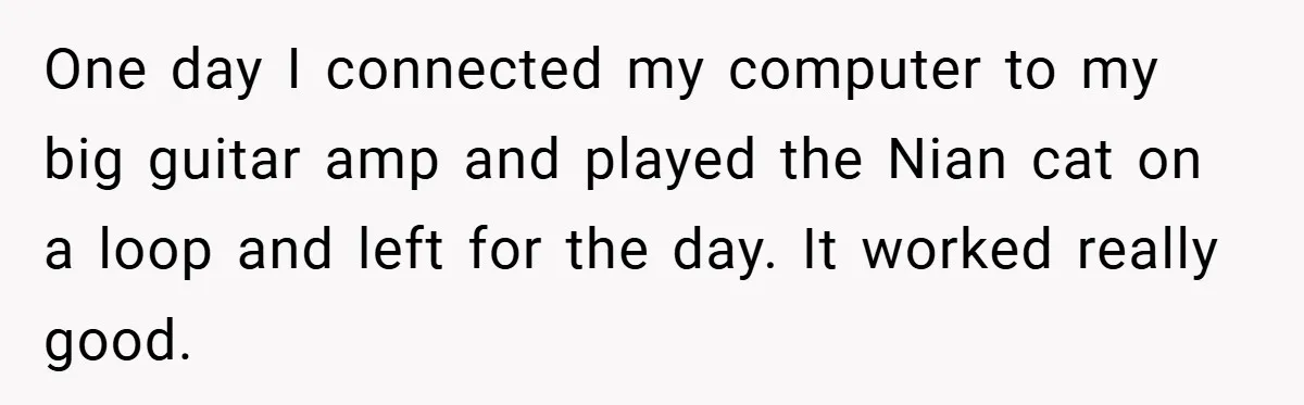 One day I connected my computer to my big guitar amp and played the Nian cat on a loop and left for the day. It worked really good.