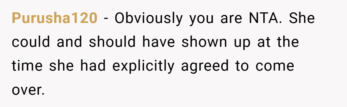 Purusha120 − Obviously you are NTA. She could and should have shown up at the time she had explicitly agreed to come over.