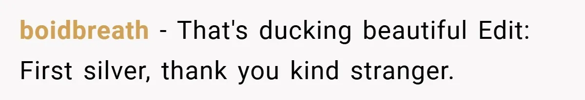 boidbreath − That's ducking beautiful Edit: First silver, thank you kind stranger.