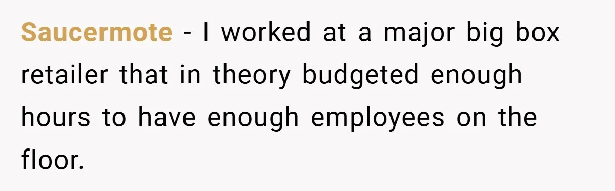 Saucermote − I worked at a major big box retailer that in theory budgeted enough hours to have enough employees on the floor.