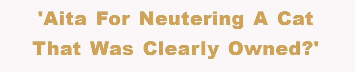 'AITA for neutering a cat that was clearly owned?'