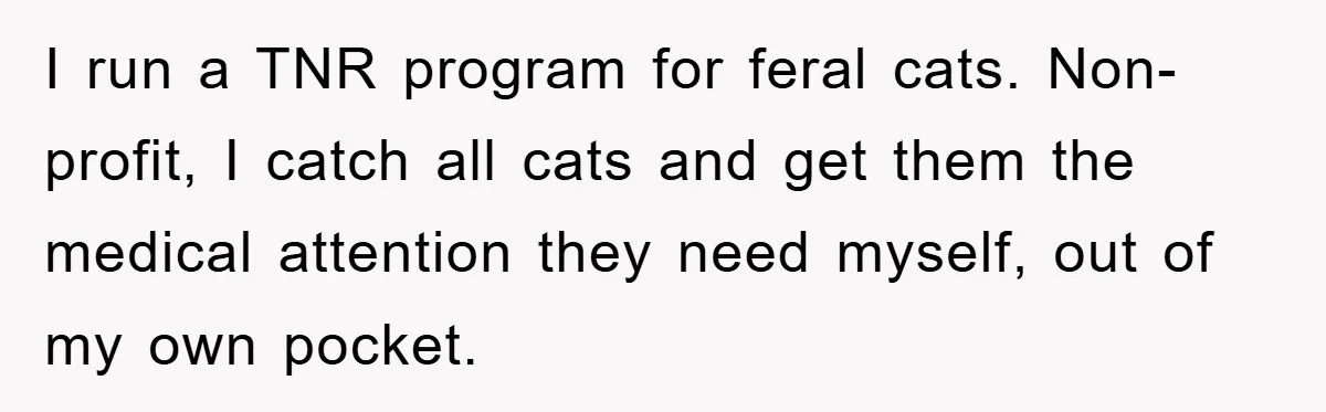 I run a TNR program for feral cats. Non-profit, I catch all cats and get them the medical attention they need myself, out of my own pocket.