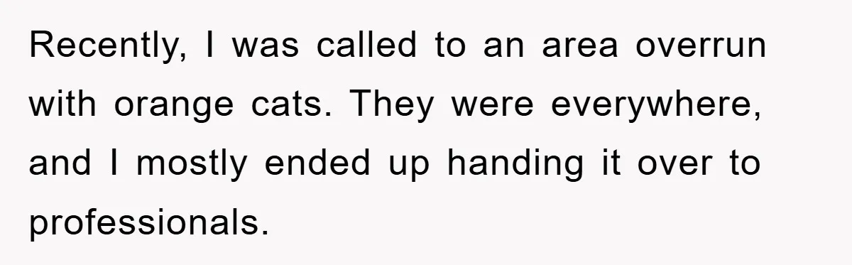 Recently, I was called to an area overrun with orange cats. They were everywhere, and I mostly ended up handing it over to professionals.