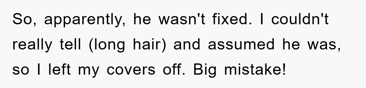 So, apparently, he wasn't fixed. I couldn't really tell (long hair) and assumed he was, so I left my covers off. Big mistake!