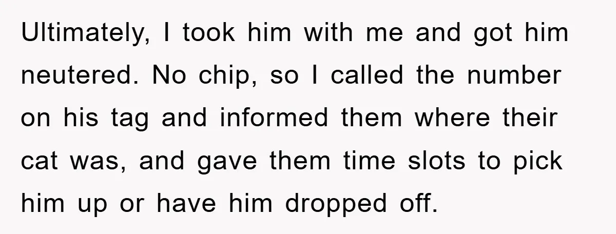 Ultimately, I took him with me and got him neutered. No chip, so I called the number on his tag and informed them where their cat was, and gave them...