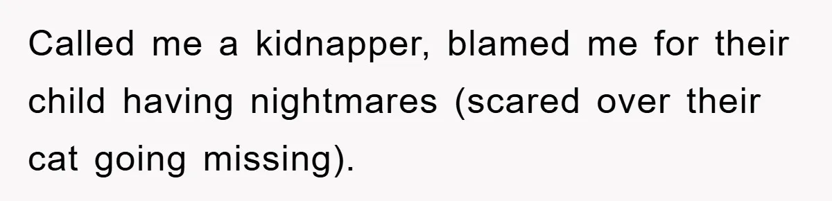 Called me a kidnapper, blamed me for their child having nightmares (scared over their cat going missing).