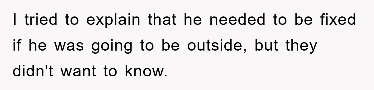 I tried to explain that he needed to be fixed if he was going to be outside, but they didn't want to know.