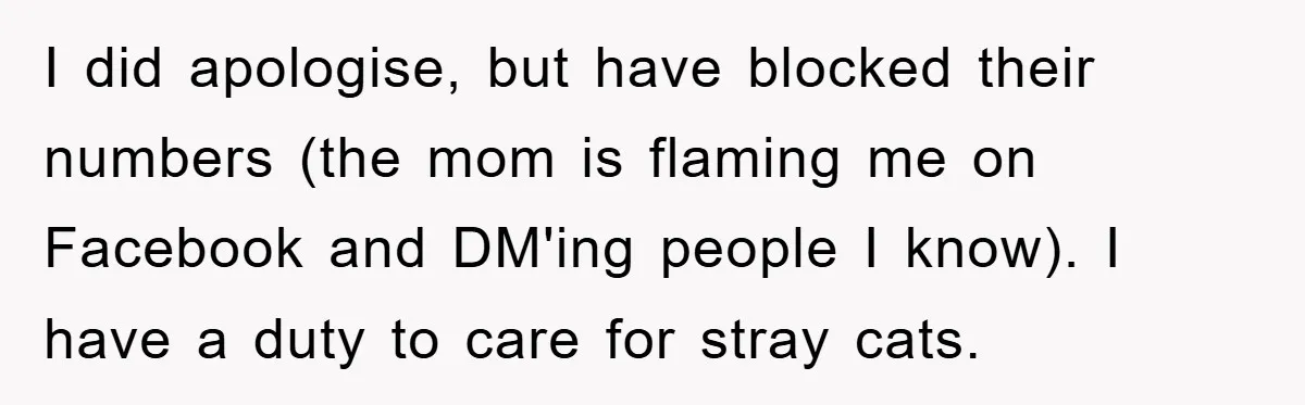 I did apologise, but have blocked their numbers (the mom is flaming me on Facebook and DM'ing people I know). I have a duty to care for stray cats.