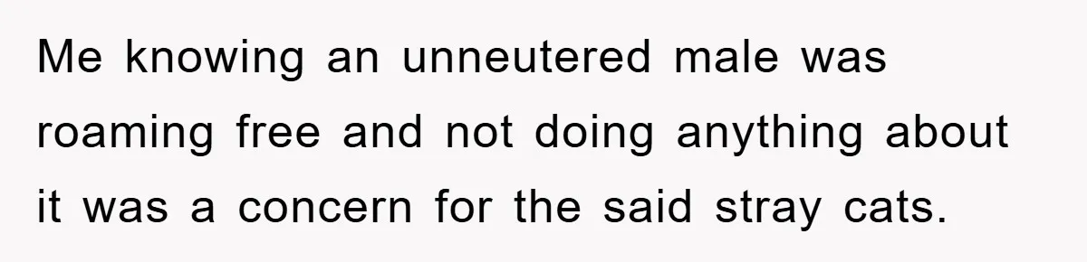 Me knowing an unneutered male was roaming free and not doing anything about it was a concern for the said stray cats.