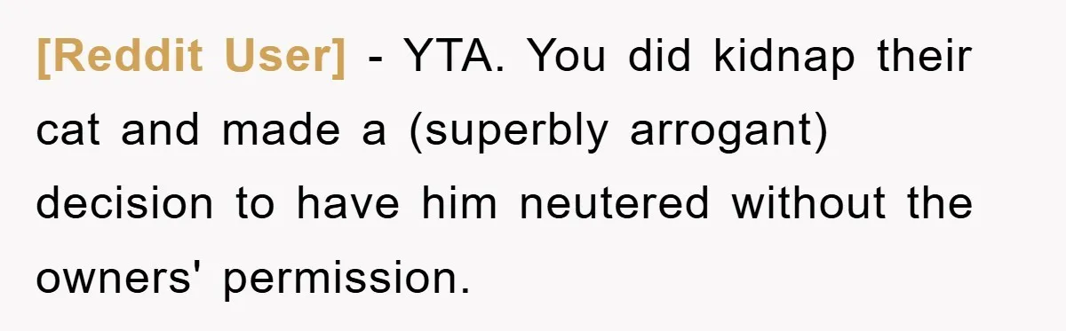 [Reddit User] − YTA. You did kidnap their cat and made a (superbly arrogant) decision to have him neutered without the owners' permission.