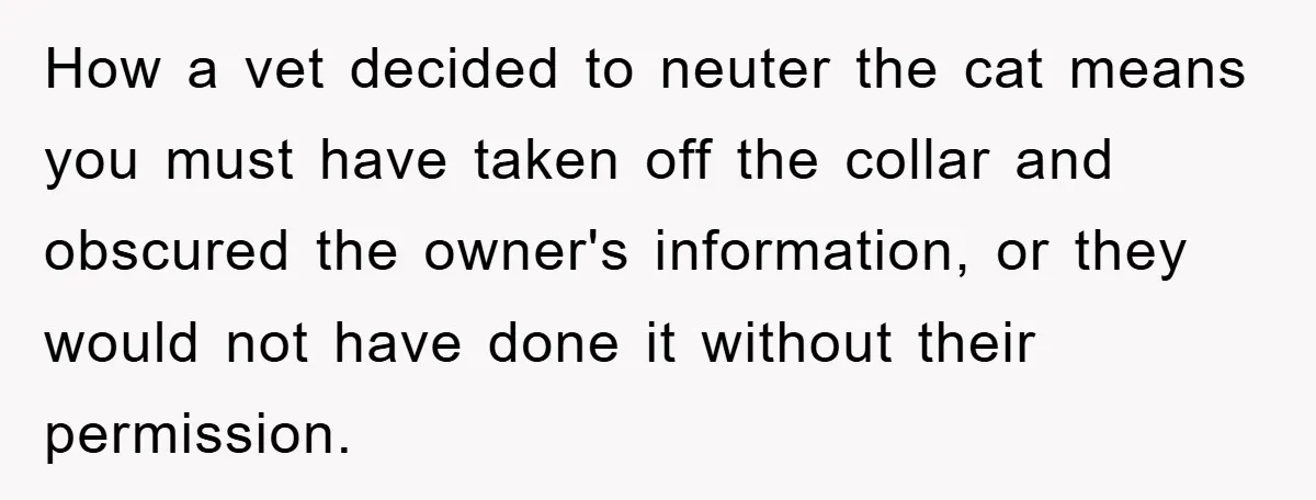 How a vet decided to neuter the cat means you must have taken off the collar and obscured the owner's information, or they would not have done it without their...