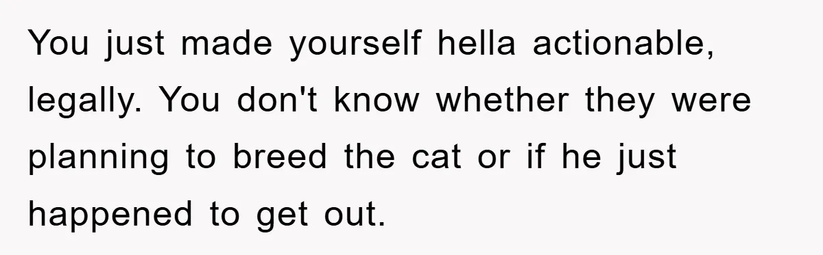You just made yourself hella actionable, legally. You don't know whether they were planning to breed the cat or if he just happened to get out.