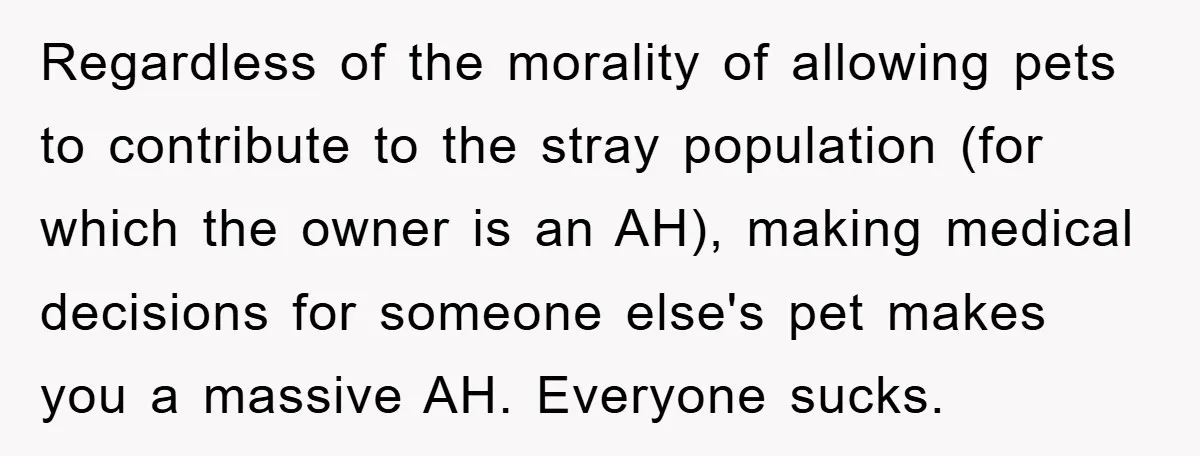 Regardless of the morality of allowing pets to contribute to the stray population (for which the owner is an AH), making medical decisions for someone else's pet makes you a...