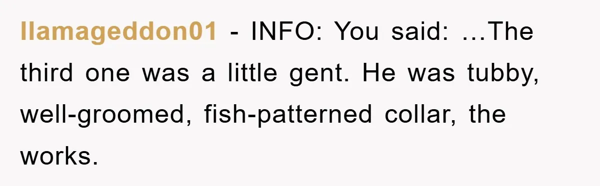 llamageddon01 − INFO: You said: …The third one was a little gent. He was tubby, well-groomed, fish-patterned collar, the works.