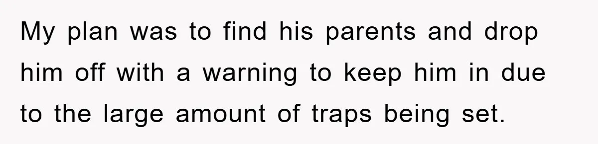 My plan was to find his parents and drop him off with a warning to keep him in due to the large amount of traps being set.