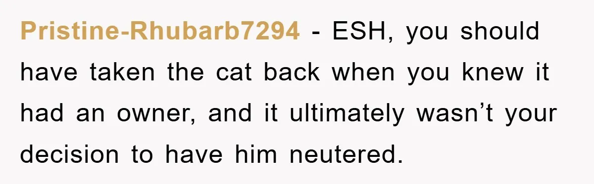 Pristine-Rhubarb7294 − ESH, you should have taken the cat back when you knew it had an owner, and it ultimately wasn’t your decision to have him neutered.