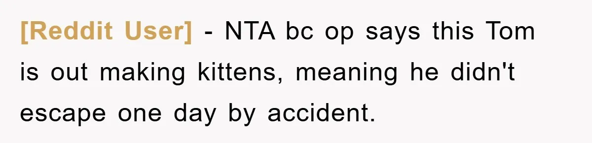 [Reddit User] − NTA bc op says this Tom is out making kittens, meaning he didn't escape one day by accident.