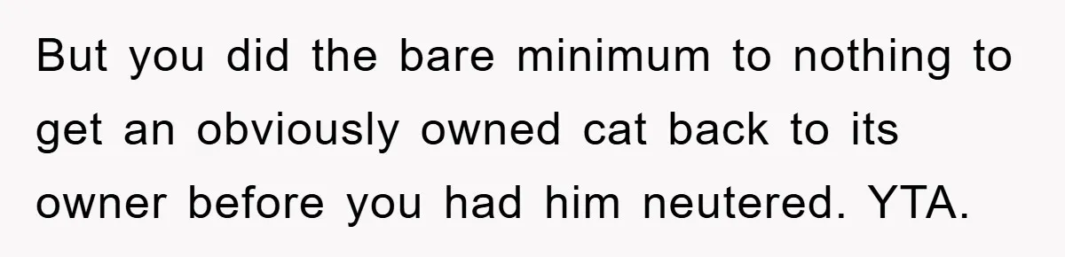But you did the bare minimum to nothing to get an obviously owned cat back to its owner before you had him neutered. YTA.