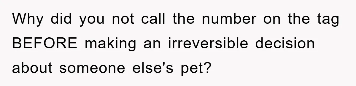 Why did you not call the number on the tag BEFORE making an irreversible decision about someone else's pet?