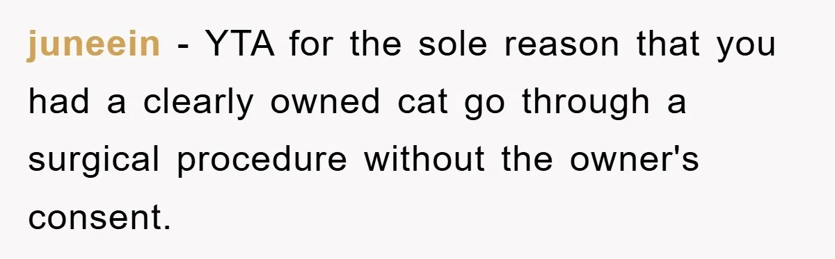 juneein − YTA for the sole reason that you had a clearly owned cat go through a surgical procedure without the owner's consent.