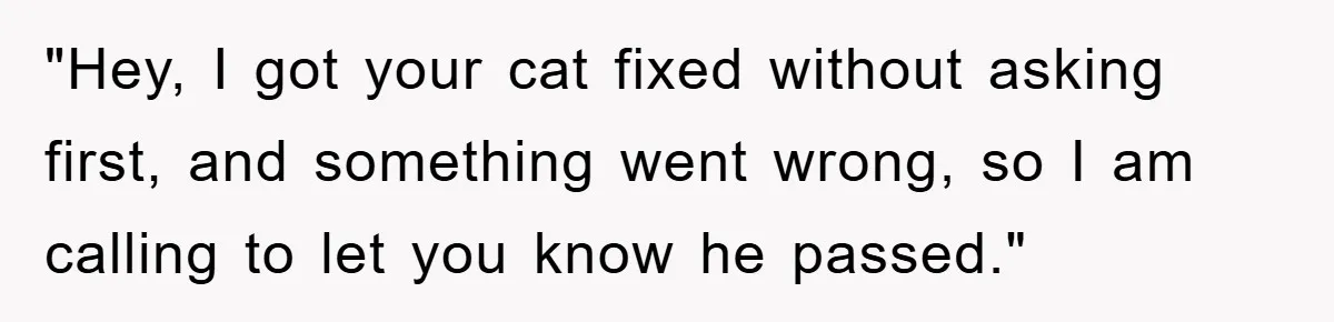 "Hey, I got your cat fixed without asking first, and something went wrong, so I am calling to let you know he passed."